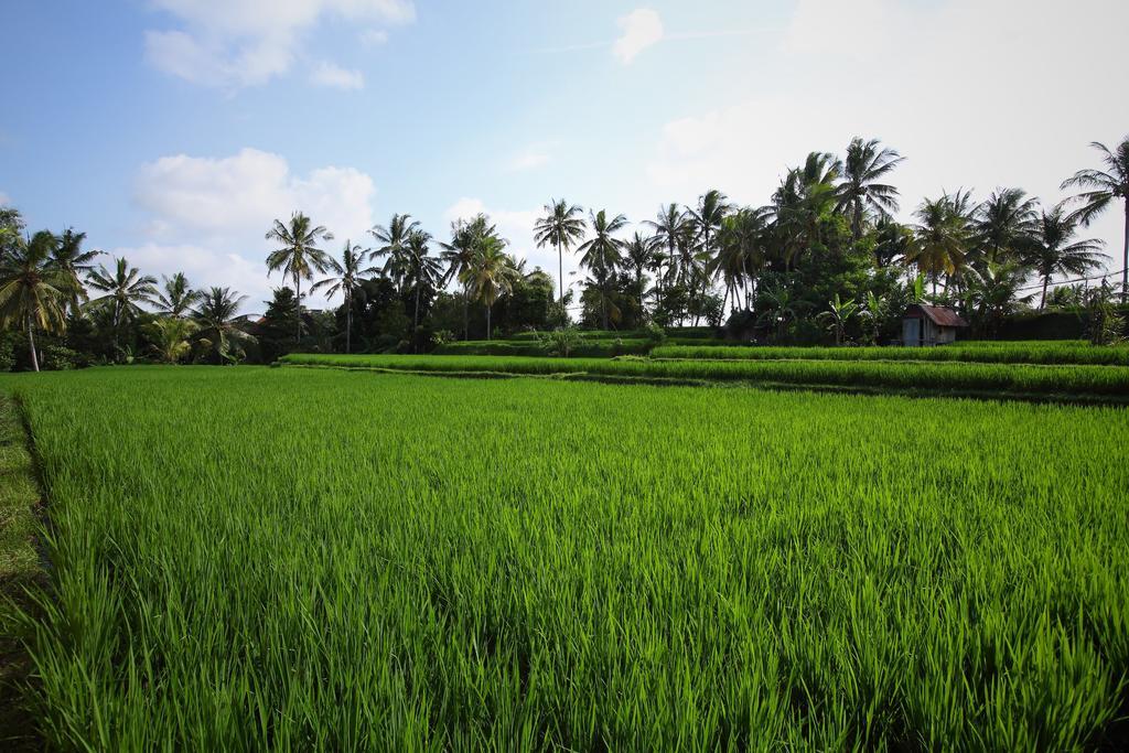 Satori Villas Bali Ubud Exterior foto