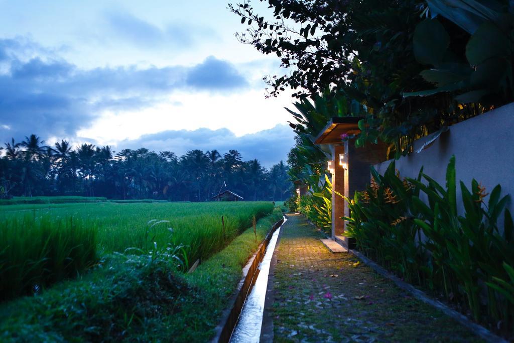 Satori Villas Bali Ubud Exterior foto